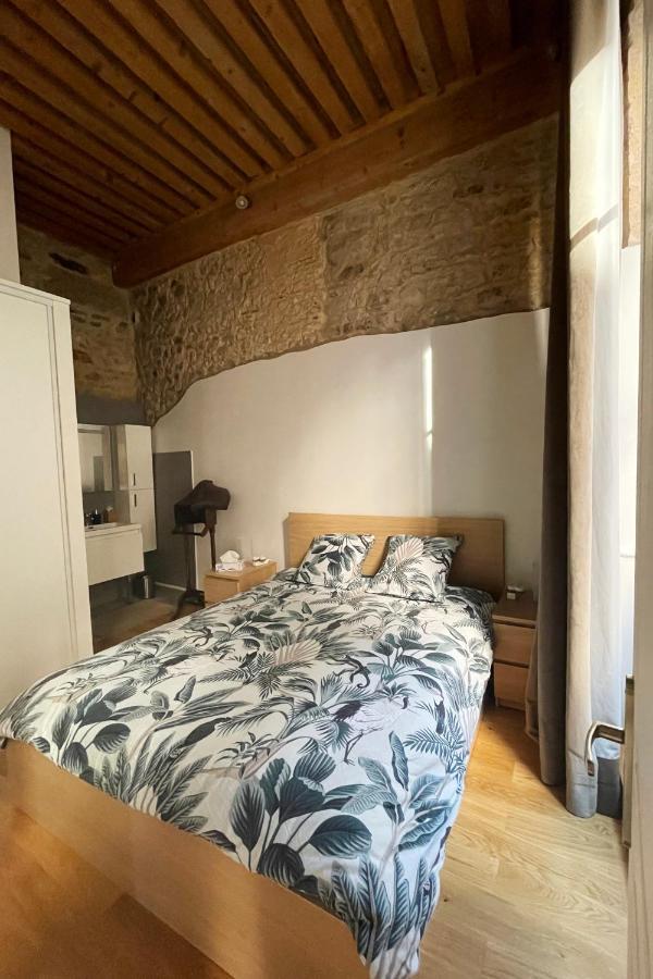 Coeur Vieux Lyon, 60 M2 lumineux tout confort Extérieur photo
